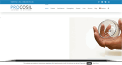 Desktop Screenshot of procosil.com